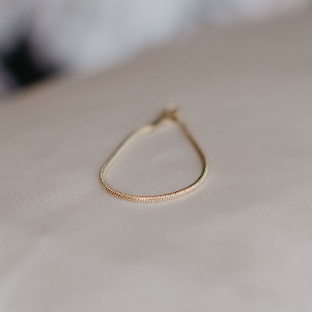Snake Bone Bracelet – Golden Hour & Co. Snake Bone Bracelet – Golden Hour & Co.